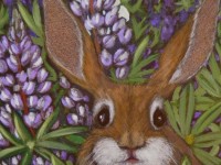 Rabbit in Lupines | Painting By Lee Rawn