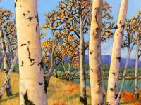 Aspens