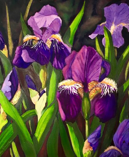 Irises, Watercolour