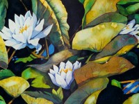 Water Lillies | Painting by Lee Rawn