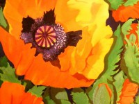 Poppy | Watercolour by Lee Rawn