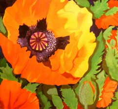 Poppy | Watercolour by Lee Rawn