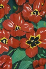 Red Tulips