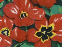 Red Tulips