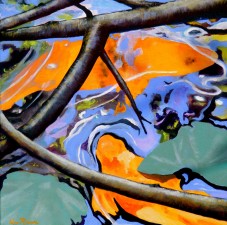 Goldfish Seeking shade | By Lee Rawn
